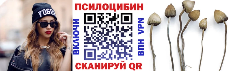Галлюциногенные грибы прущие грибы  Купить где  Новая Ладога 